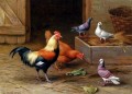 Chickens Pigeons And A Dove poultry livestock barn Edgar Hunt